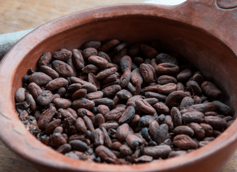 to'ak aging process to'ak aging process