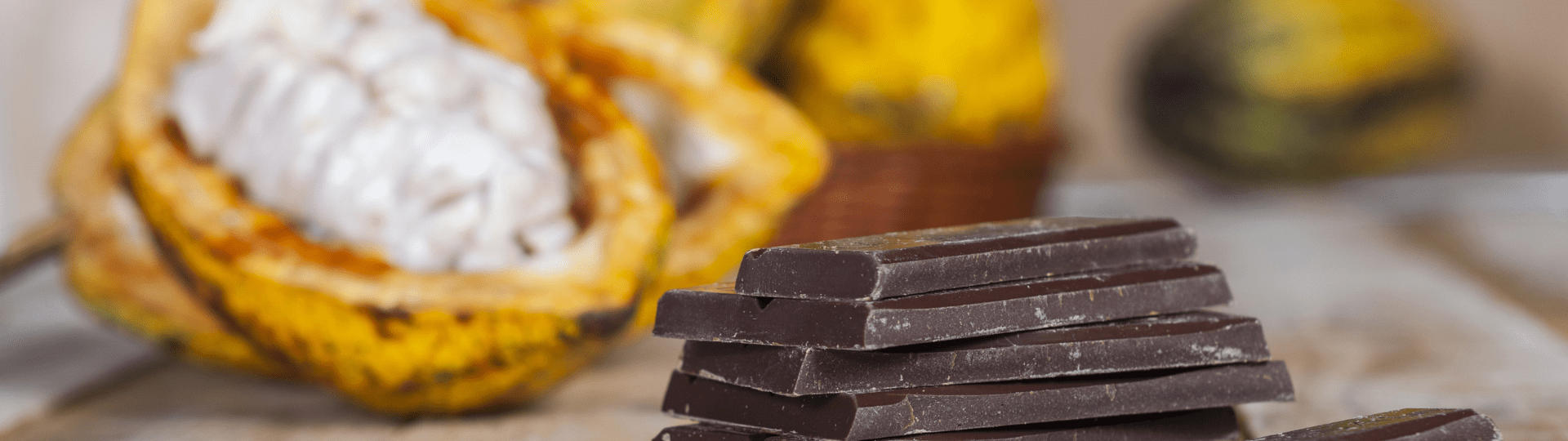 to'ak chocolate at humbertown jewellers to'ak chocolate at humbertown jewellers