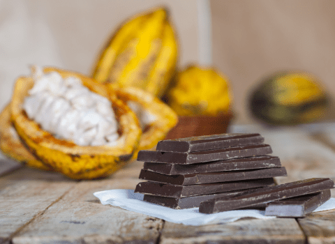 to'ak chocolate at humbertown jewellers to'ak chocolate at humbertown jewellers